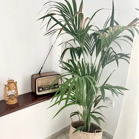 Mamre Bed & Breakfast *