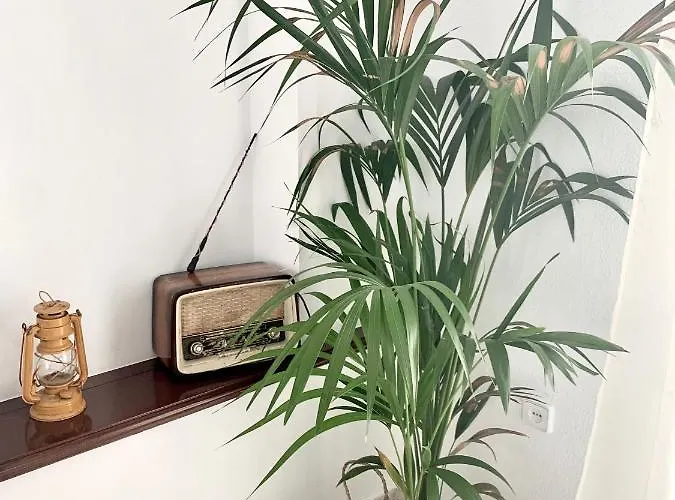 Mamre Отель типа 